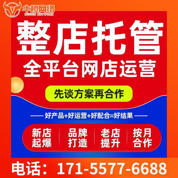 梅河口电商代运营